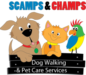 scamps-and-champs-logo
