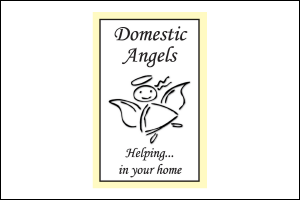 Starting a franchise: the Domestic Angels story