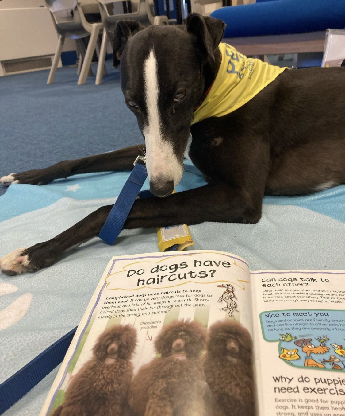 Ellie being read to
