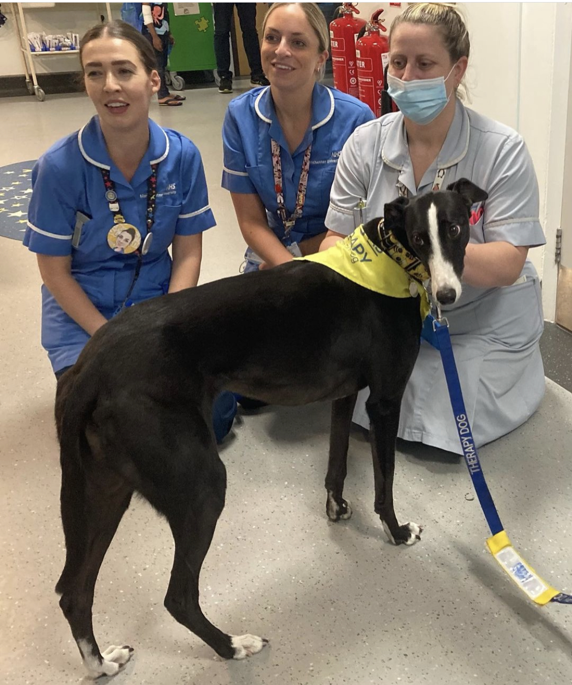 Ellie with nursing staff